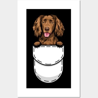 Funny Boykin Spaniel Pocket Dog Posters and Art